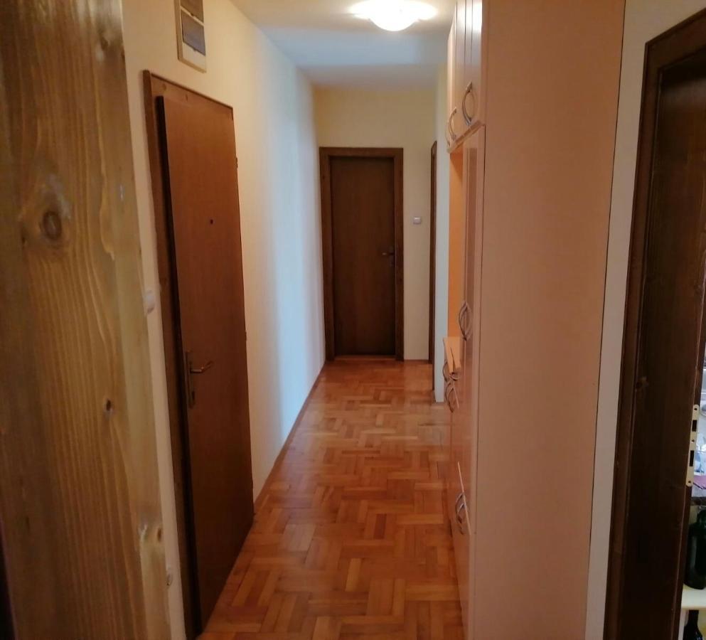Apartman Djina Vrnjačka Banja Eksteriør bilde